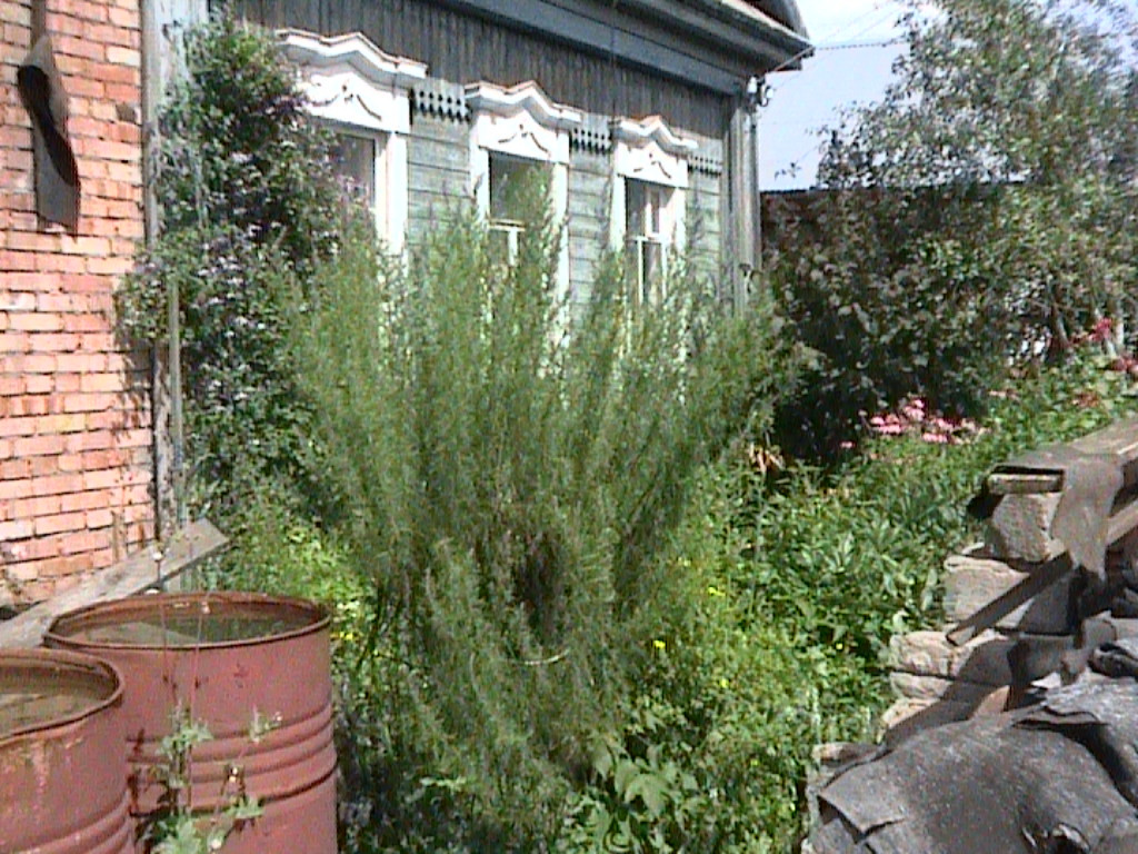 Первый пост для нового проекта